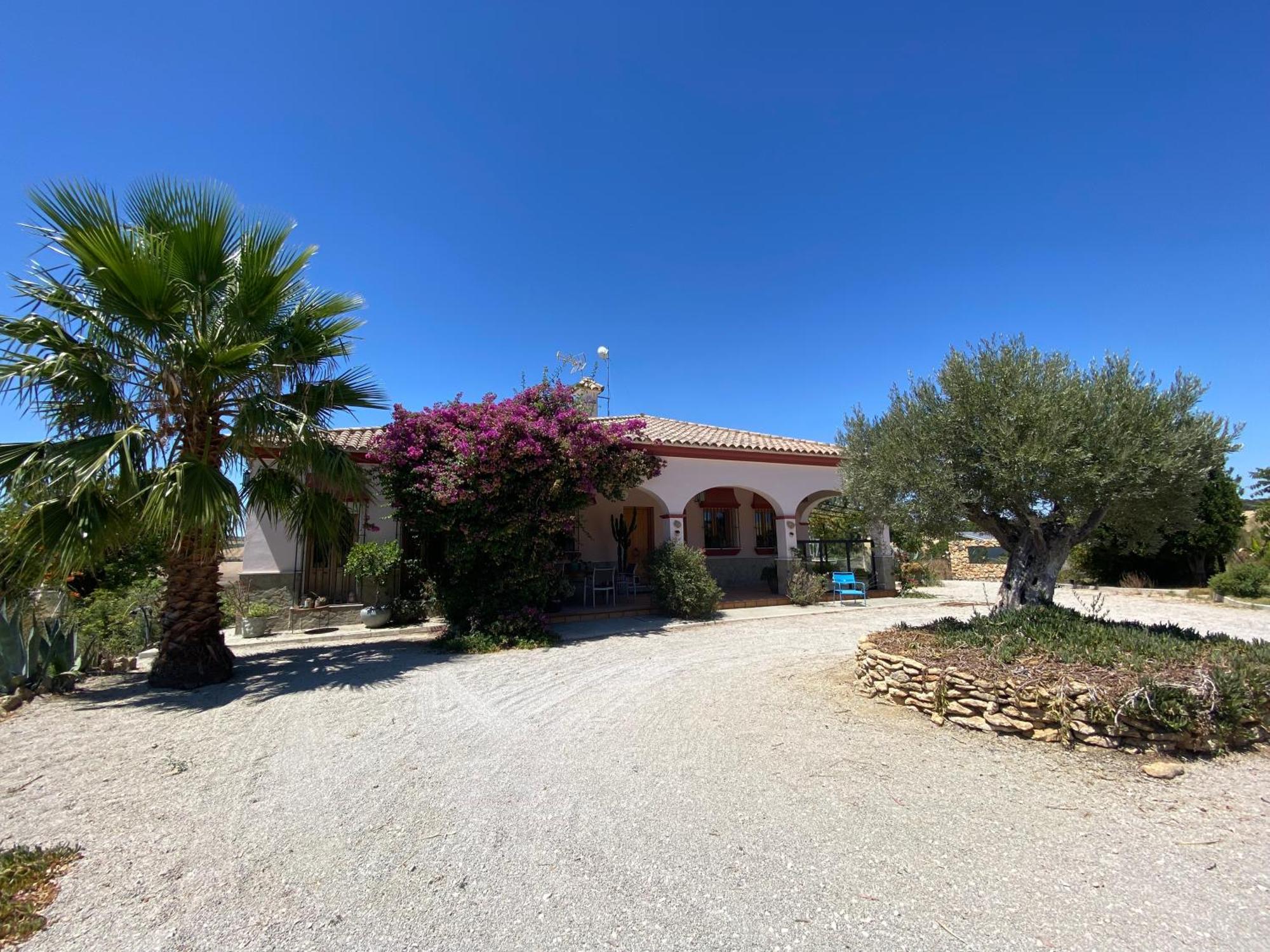 Villa Entre Mer Et Montagne Arcos de la Frontera Exterior photo